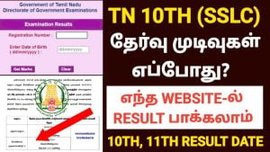 "tn 11th result 2023 website link"