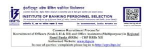 IBPS CRP RRBs XII Announcement 2023 - Apply For 8,611, Office Assistant
