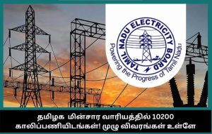 tn-electricity-board-vacancy-announcement-2025