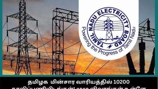 tn-electricity-board-vacancy-announcement-2025